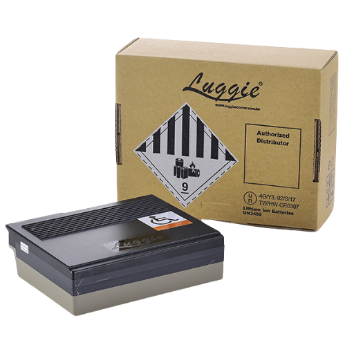 FreeRider USA Luggie 16.5ah Li-on Battery